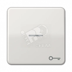 Клавиша с окошком и символом  ключ  для выключателей с подсветкой  светло-серая