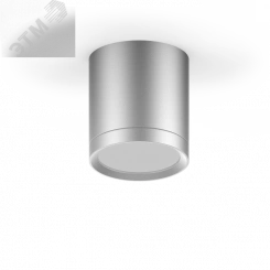 Светильник светодиодный ДПО 6 Вт 420 Лм 4100К цилинндр накладной 170-240 В 68х75 мм IP20 хром/сатин с рассеивателем LED Overhead Gauss Светильник светодиодный ДПО 6 Вт 420 Лм 4100К цилинндр накладной 170-240 В 68х75 мм IP20 хром/сатин с рассеивателем LED Overhead Gauss
