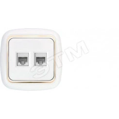 Беларусь розетка компютерная двухместная РК 216-003 Беларусь розетка компютерная двухместная РК 216-003