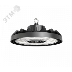 Светильник ДСП-25-100-001 Alkor 750