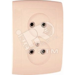 Елизавета Розетка 2 поста скрытая слоновая кость РС10-409 Елизавета Розетка 2 поста скрытая слоновая кость РС10-409