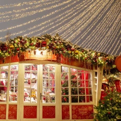 Гирлянда профессиональная Кластер 10 м, 200 LED, черный каучук, IP67, соединяемая, цвет свечения белый NEON-NIGHT Гирлянда профессиональная Кластер 10 м, 200 LED, черный каучук, IP67, соединяемая, цвет свечения белый NEON-NIGHT