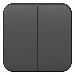 Выключатель 2-кл. ОП Blanca 10А IP20 (сх. 5) 250В антрацит SE BLNVA105006