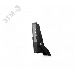 Светильник ДО-08-100-301 FLG 750