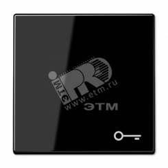 Клавиша для выключателя с символом замок белая Клавиша для выключателя с символом замок белая