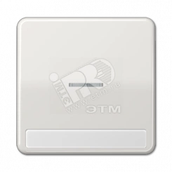 Клавиша с окошком для выключателя с подсветкой и полем для надписи  светло-серая