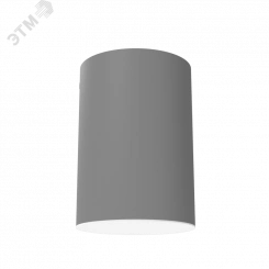 Светильник светодиодный ДПО-12Вт 3000К DL-Roll DALI серый