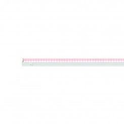 Светильник для растений светодиодный линейный 560мм выкл на корпусе Спектр для фотосинтеза TM Светильник для растений светодиодный линейный 560мм выкл на корпусе Спектр для фотосинтеза TM