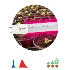 Лампа светодиодная FITO-18W-RB-Т8-G13-NL 18Вт T8 линейная 96LED 2835 IP20 35000ч для растений красн./син. спектр стекло Эра Б0042990