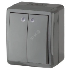 Выключатель двойной с подсветкой IP54, 10АХ-250В, ОУ, Эра Эксперт, серый,11-1405-03 Выключатель двойной с подсветкой IP54, 10АХ-250В, ОУ, Эра Эксперт, серый,11-1405-03