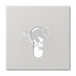 Крышка к выключателю для замочного механизма  светло-серая