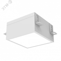 Светильник светодиодный ДВО-24Вт 3000К IP54 DL-Grill Белый