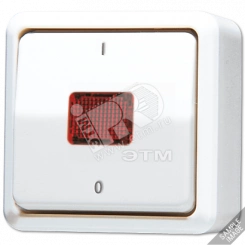 Выключатель контрольный 10 AX 250 V ~ для накладного монтажа Выключатель контрольный 10 AX 250 V ~ для накладного монтажа