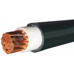 Кабель силовой ВВГнг(А) 1х50,0 мк (N) -1 ТРТС Кабель силовой ВВГнг(А) 1х50,0 мк (N) -1 ТРТС