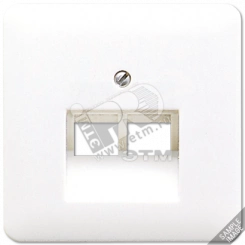 Крышка для сдвоенной телефонной и компьютерной розетки UAE  платина