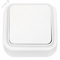 Выключатель одноклавишный наружный Пралеска