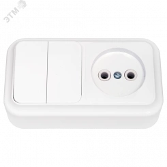 Беларусь Блок: выключатель двухклавишный + розетка без заземления наружный Пралеска Беларусь Блок: выключатель двухклавишный + розетка без заземления наружный Пралеска