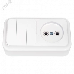 Беларусь Блок: выключатель трехклавишный + розетка без заземления наружный Пралеска Беларусь Блок: выключатель трехклавишный + розетка без заземления наружный Пралеска