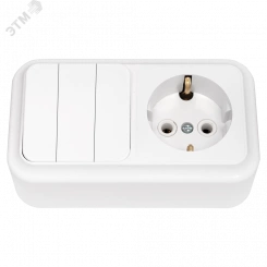 Беларусь Блок: выключатель трехклавишный + розетка с заземлением наружный Пралеска Беларусь Блок: выключатель трехклавишный + розетка с заземлением наружный Пралеска