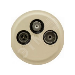 Celiane Панель лицевая для розетки телевизионной TV/FM/SAT слоновая кость Celiane Панель лицевая для розетки телевизионной TV/FM/SAT слоновая кость