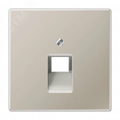 Накладка для 1-ой телефонной/компютерной розетки  IAE/UAE (1 x 8-пол.)   Серия LS990  Материал- металл  Цвет- благородная сталь