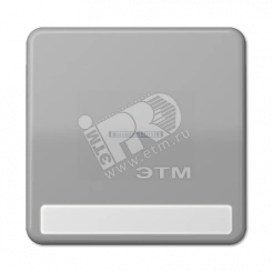 Клавиша с окошком для выключателя с подсветкой и полем для надписи  серая