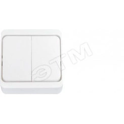 Выключатель двухклавишный наружный