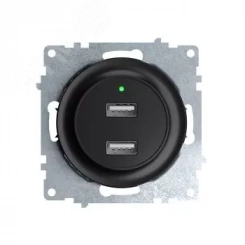 Розетка USB двойная, с подсветкой, цвет черный Розетка USB двойная, с подсветкой, цвет черный