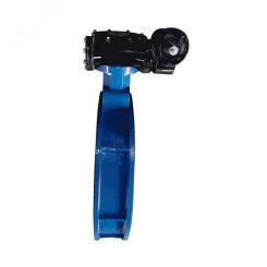 Затвор дисковый поворотный чугун Ду 1000 Ру10/16 фланцевый с редуктором под электропривод диск чугун манжета EPDM Затвор дисковый поворотный чугун Ду 1000 Ру10/16 фланцевый с редуктором под электропривод диск чугун манжета EPDM