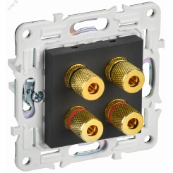 SKANDY Аудиорозетка 4-местная SK-A01G графит IEK