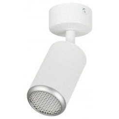 Светильник настенно-потолочный спот IP20 белый/серебро OL55 WH/SL MR16 GU10 ЭРА Светильник настенно-потолочный спот IP20 белый/серебро OL55 WH/SL MR16 GU10 ЭРА