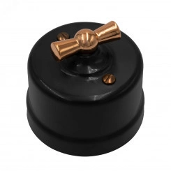 Выключатель Лизетта 2-кл., пластик, цвет Черный, Медь