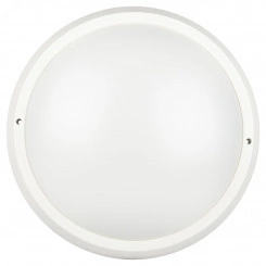 Светильник ЖКХ светодиодный КРУГ 24Вт 2040Лм 6500К IP65 D320мм SPB-203-0-65К-024 ЭРА