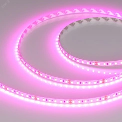 Лента RT-A120-8мм 24V Magenta (9.6 W/m, IP20, 2835, 5м) (-) Лента RT-A120-8мм 24V Magenta (9.6 W/m, IP20, 2835, 5м) (-)