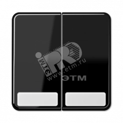 Клавиши для сдвоенных выключателей и кнопок с полем для надписи  черные