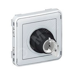 Plexo Выключатель с ключом 2контакта НО серая Plexo Выключатель с ключом 2контакта НО серая