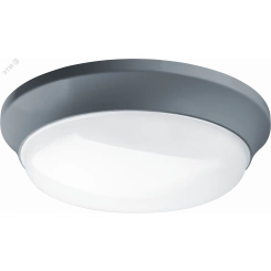 Светильник светодиодный ДПБ-01-ПП-24-GR-4К-IP65-SNR