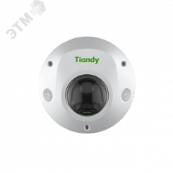 Видеокамера IP 5Мп купольная Fisheye 5Мп с PoE (2.8мм)