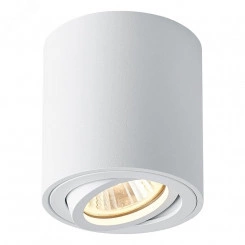 Светильник ДПО GU10 без лампы поворотный белый Светильник ДПО GU10 без лампы поворотный белый