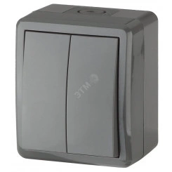 Выключатель двойной IP54, 10АХ-250В, ОУ, Эра Эксперт, серый,11-1404-03 Выключатель двойной IP54, 10АХ-250В, ОУ, Эра Эксперт, серый,11-1404-03