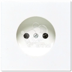 Розетка без заземления двухполюсная белая Розетка без заземления двухполюсная белая